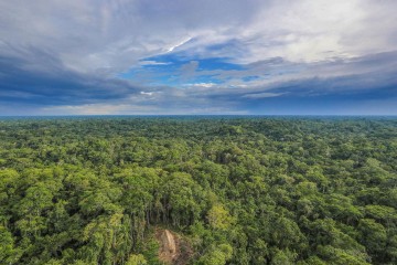 Amazon Faces Deforestation and Drought Over the Next Century